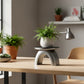 Arch Plant Stand