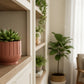 Modern Indoor Planter with Drainage – 3D Printed Fluted Plant Pot, Vertical Ribbed Design, Minimalist Decor Accent, Mid-Bubble