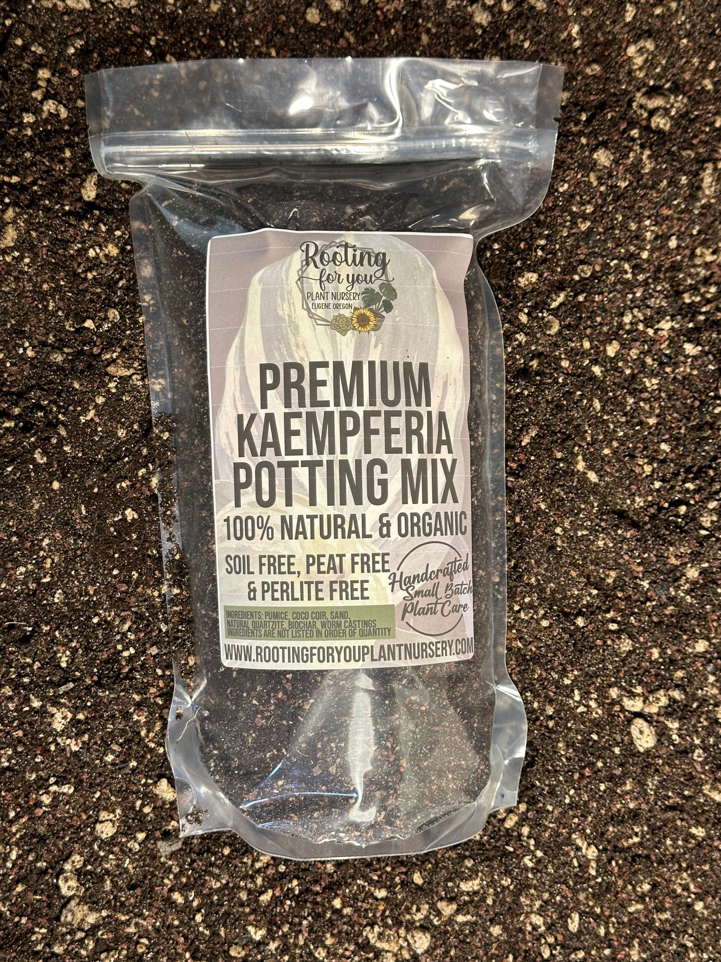 Kaempferia Ginger Premium Potting Mix