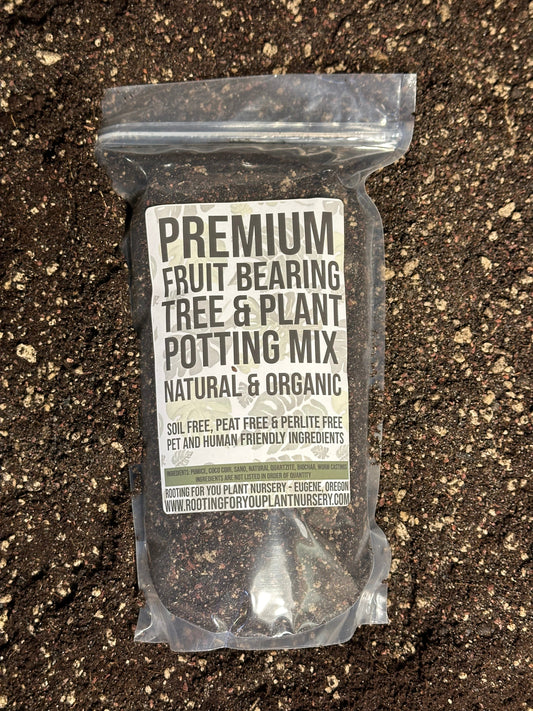 Fruit Bearing Tree and Plant Premium Potting Mix