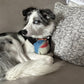 Finn the Shark Ruff-Tex® Latex Ball Dog Toy, Large