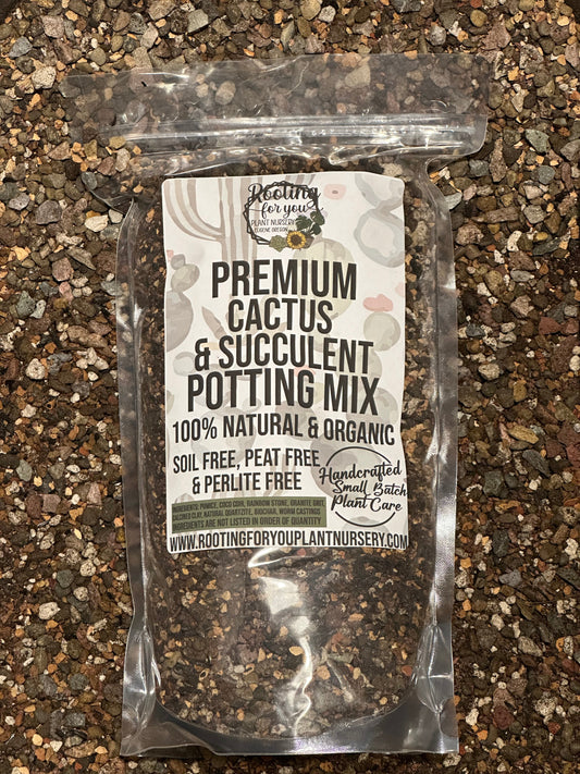 CACTUS & SUCCULENT Premium Potting Mix