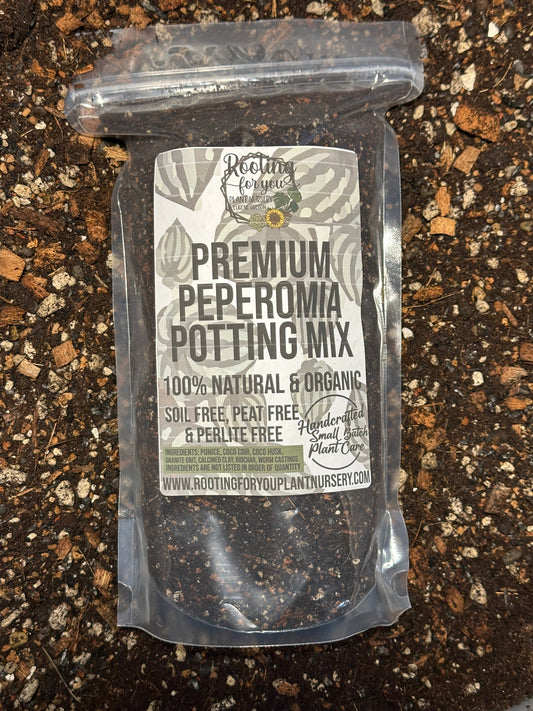 PEPEROMIA Premium Potting Mix