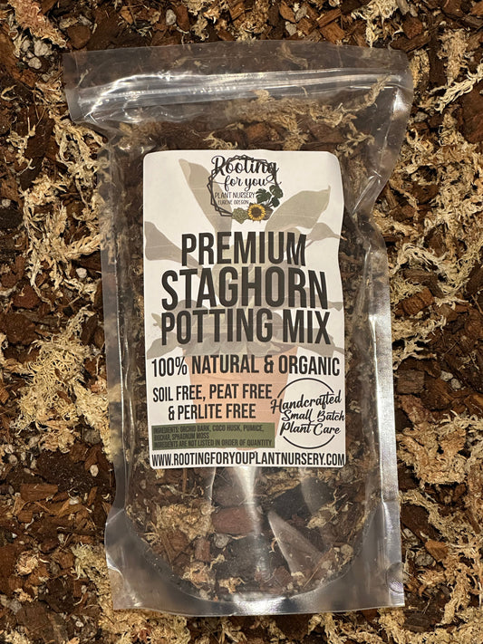 Staghorn Fern Premium Potting Mix