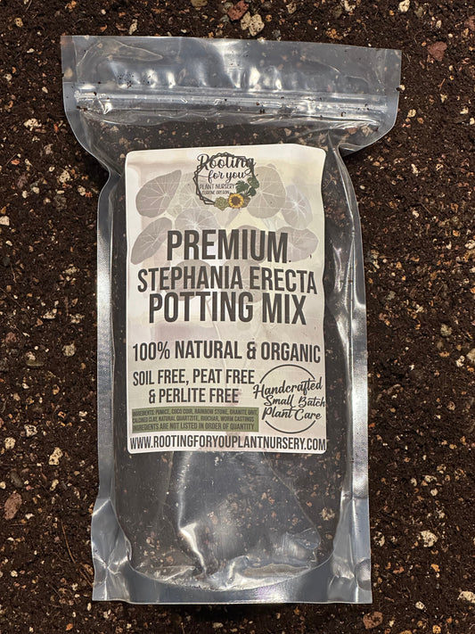 Stephania Erecta Premium Potting Mix
