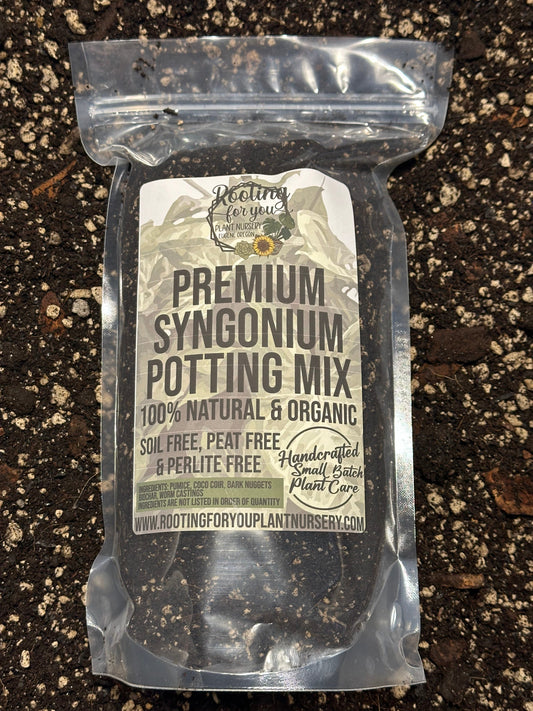 SYNGONIUM Premium Potting Mix