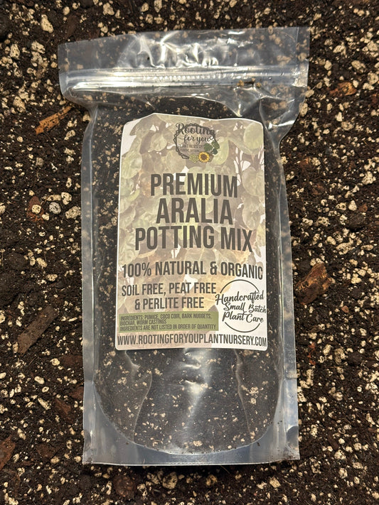 ARALIA - Aralia Fabian Stump - Ming Aralia - Fatsia Japonica Premium Potting Mix