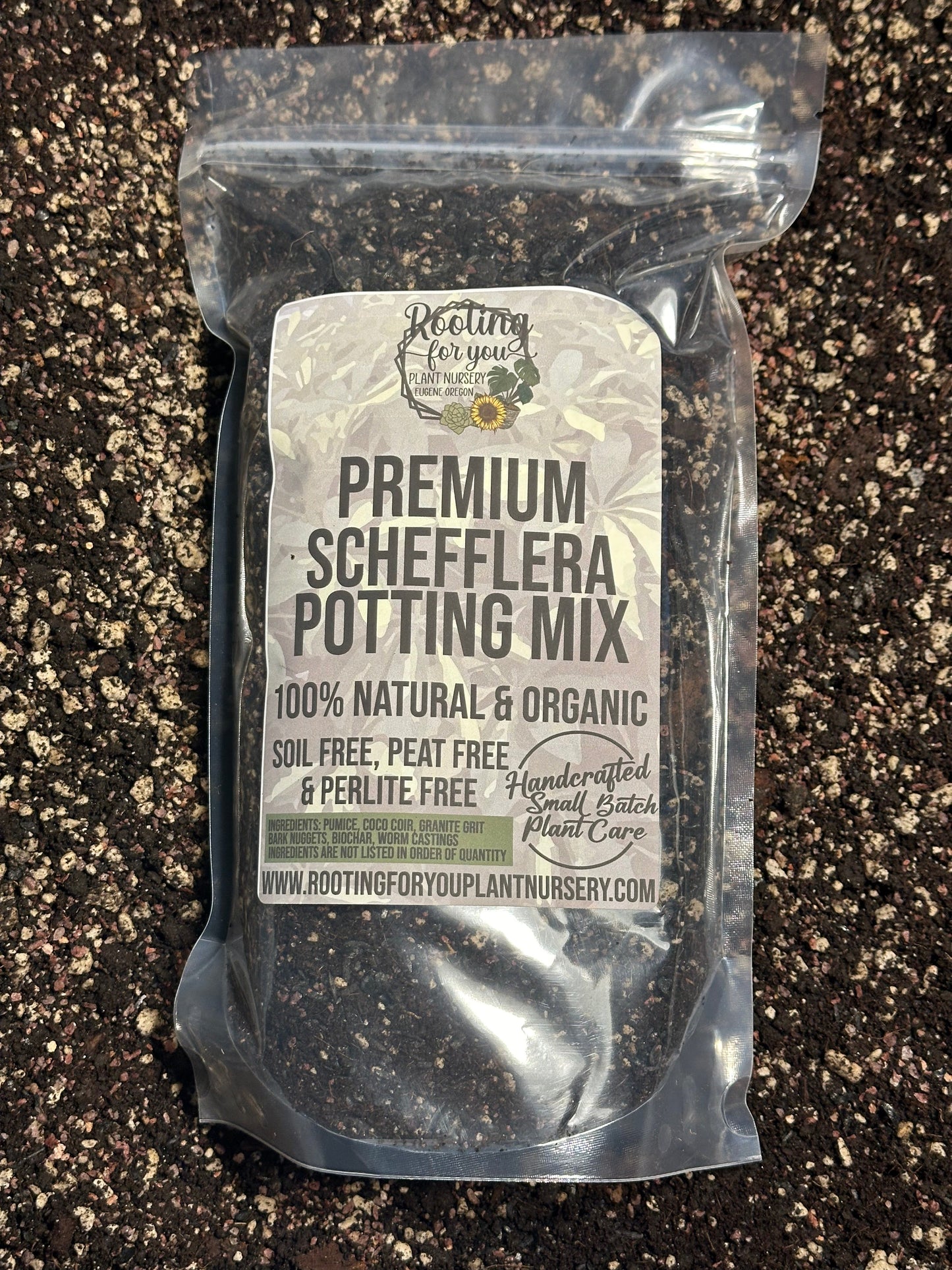 Schefflera Premium Potting Mix