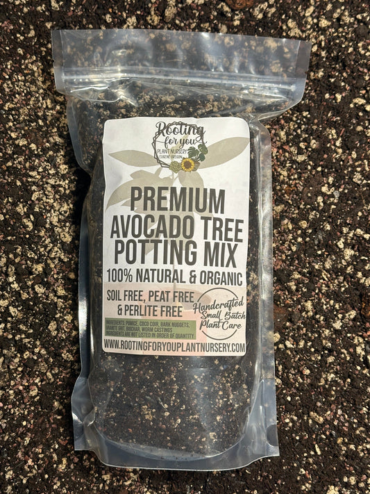 Avocado Tree Premium Potting Mix