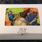 Ultimate Toy, Chew and Treat box for Guinea Pigs, Chinchillas, Rabbits