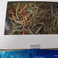 Fun & Forage Box  "No More Boredom" Box - Chinchillas, Guinea Pigs, Rabbits 26 OZ BOX