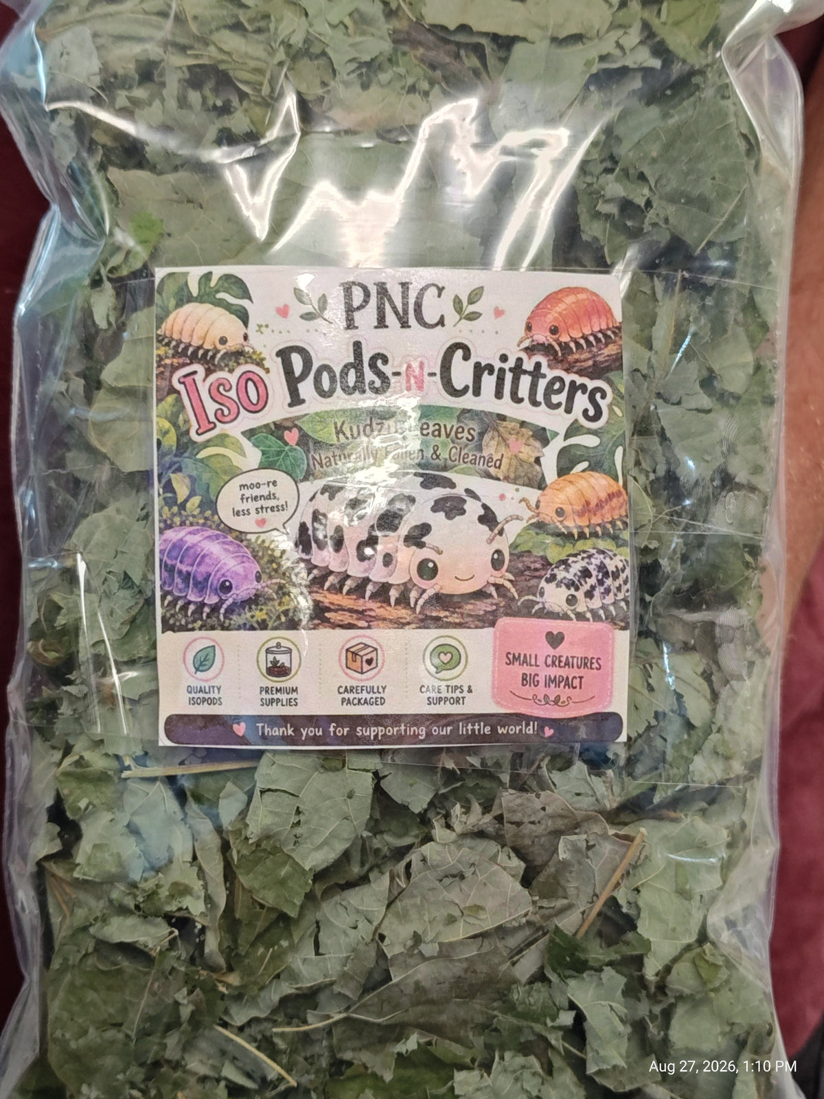 Isopod Kudzo Leaves Naturally Collected ,Cleaned & Prepared
