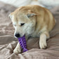 Fish Bone Nylon Dog Toy for Aggressive Chewers | USA Made | SodaPup