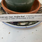 Dendrobium Maple Red Orchid Live Plant I Rare Hybrid Orchid 