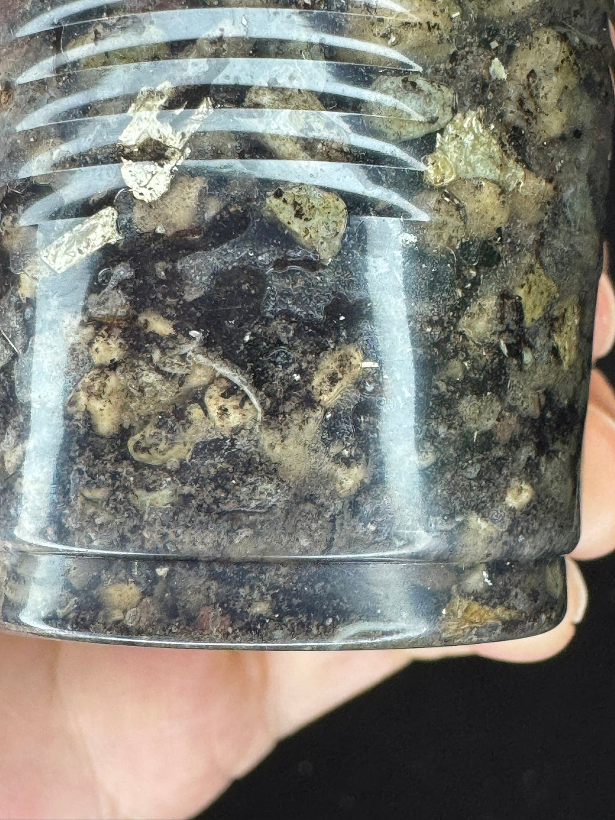 Hoya ‘Love Affair’ (GTX01-01) #1