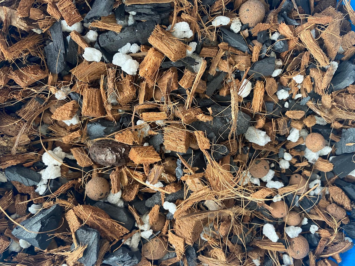 Natural Orchid Medium - Coconut husks,perlite,charcoal,and clay pellets 1 gallon bag. The best medium for orchids! Drains great!