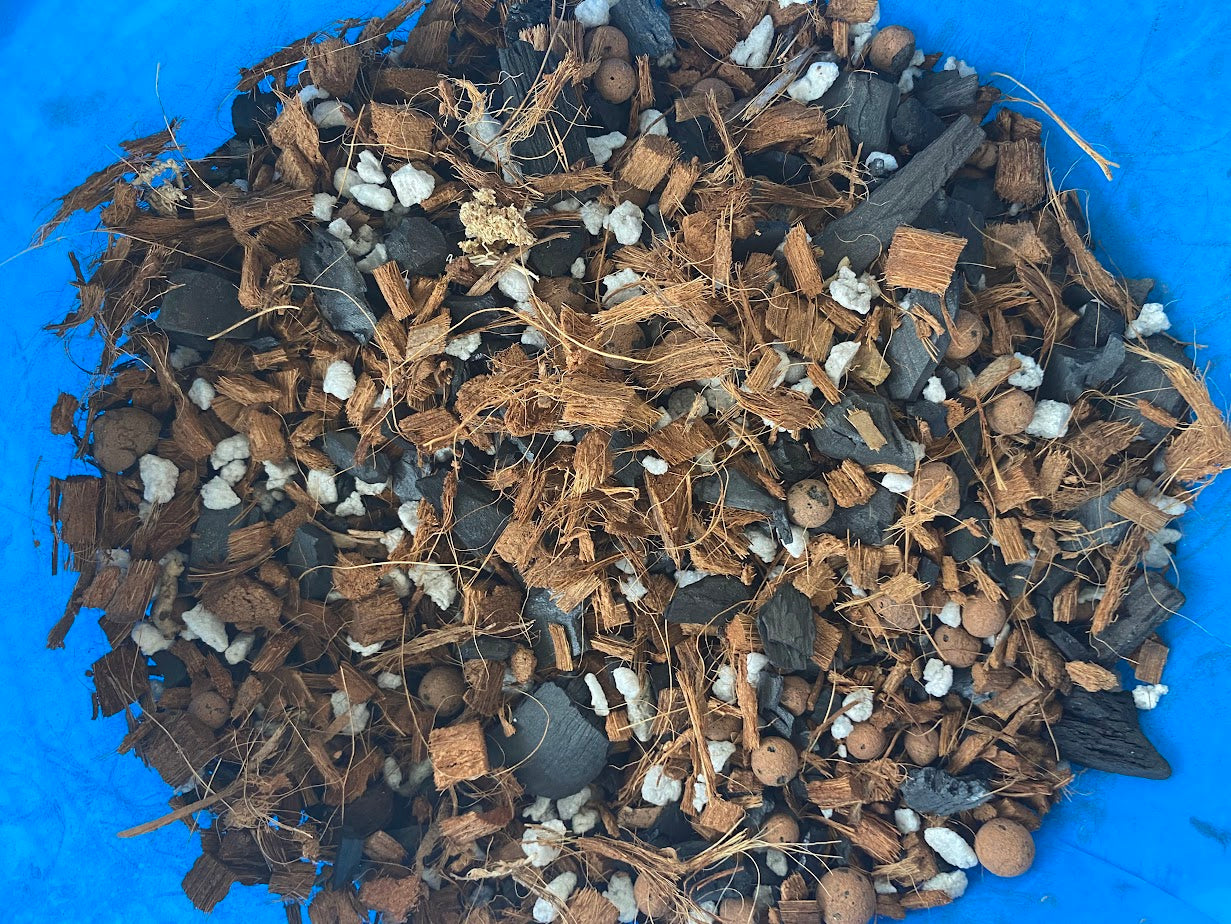 Natural Orchid Medium - Coconut husks,perlite,charcoal,and clay pellets 1 gallon bag. The best medium for orchids! Drains great!