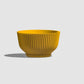 Bonsai Pot with Drainage & Tray
