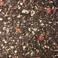 Olive Tree Premium Potting Mix