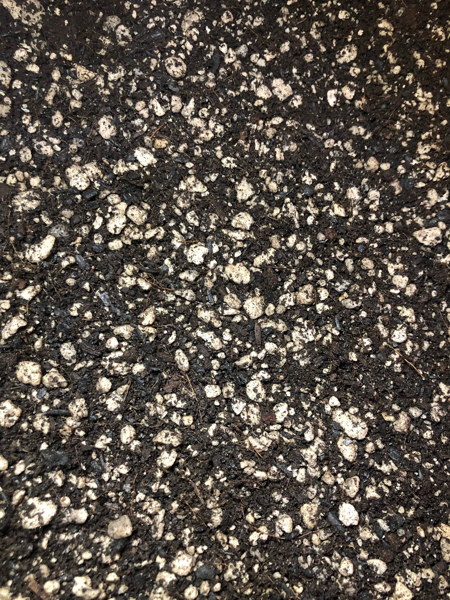 Oxalis Premium Potting Mix