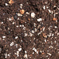 Money Tree Premium Potting Mix