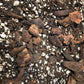 Ficus Premium Potting Mix