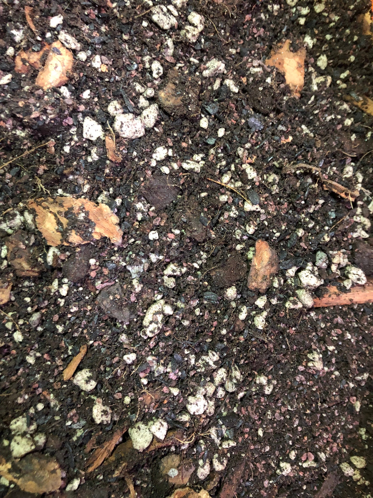 Apricot Tree Premium Potting Mix