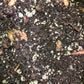 Citrus Tree Premium Potting Mix