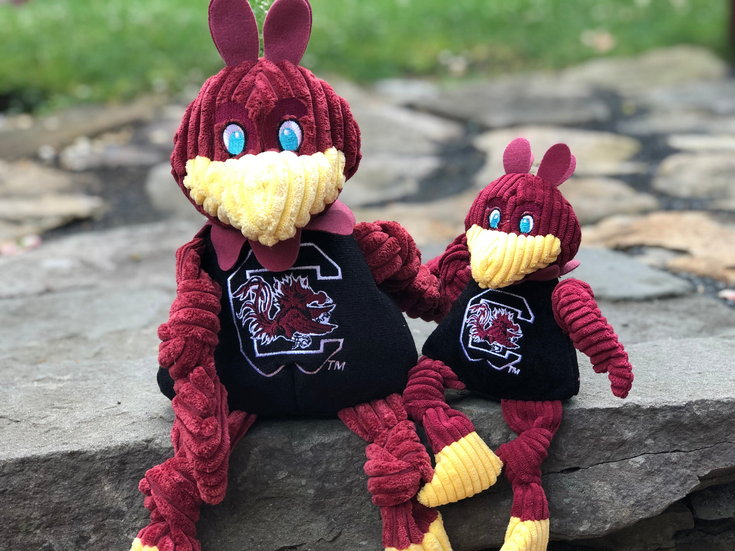 NCAA  University of South Carolina, Cocky Knottie® Plush Dog Toy