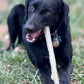 Durable Nylon Chew Stick for Power Chewers | Indestructible Dog Toy USA