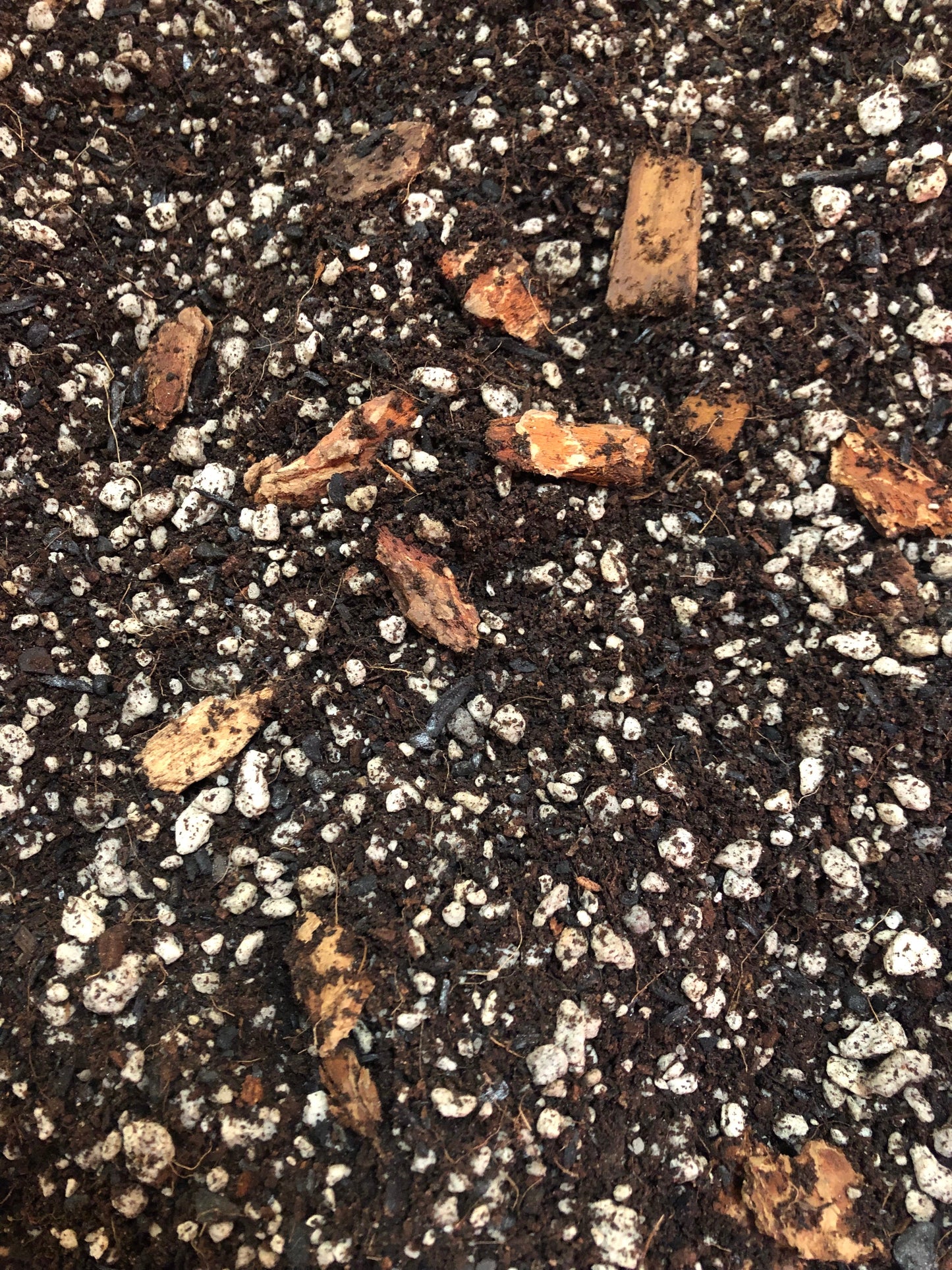 CROTON Premium Potting Mix