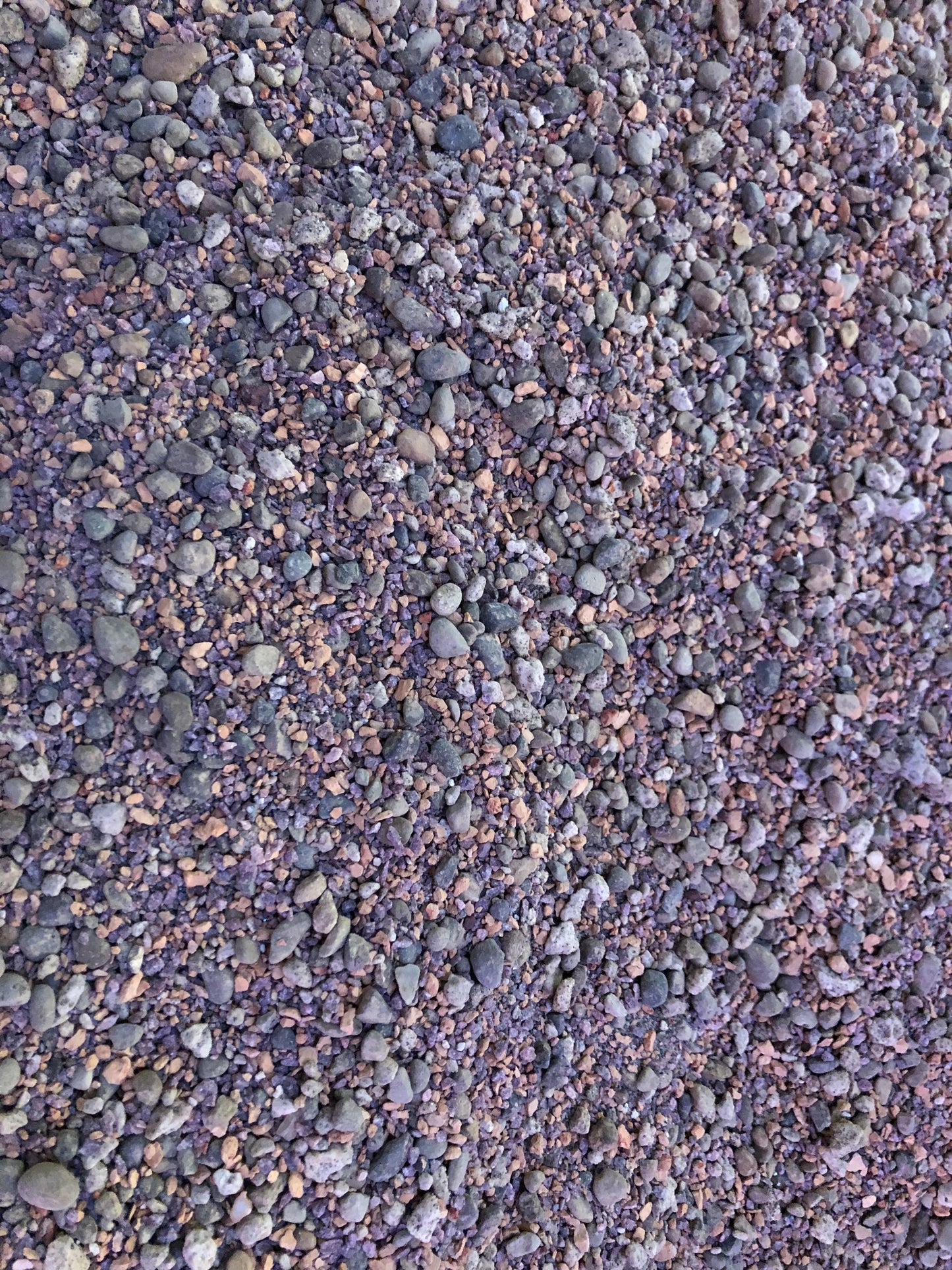 Lithops Living Stone Premium Potting Mix