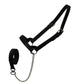 Derby Originals Premium Fancy Stitch Flat Leather Cattle Show Halter – Adjustable Fit with 48" Lead and 14" Chain, Small/Medium/Large – 1-Year Warranty