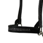 Derby Originals New and Improved Premium Show Spotted Flat Leather Cattle Show Halter, Small/Medium/Large, Adjustable Fit with 48" Lead and 19.5" Chain, Elegant Show Spots, 1-Year Warranty
