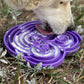 Water Frog eTray - Shallow Slow Feeder Dog Bowl for Enrichment | USA Made