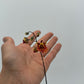 Mystery Blooming Orchid