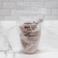 Vanilla Chai Tea-Infused Bath Salts