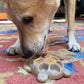 Turtle Nylon Chew Toy - Ultra-Durable Enrichment Toy for Power Chewers USA