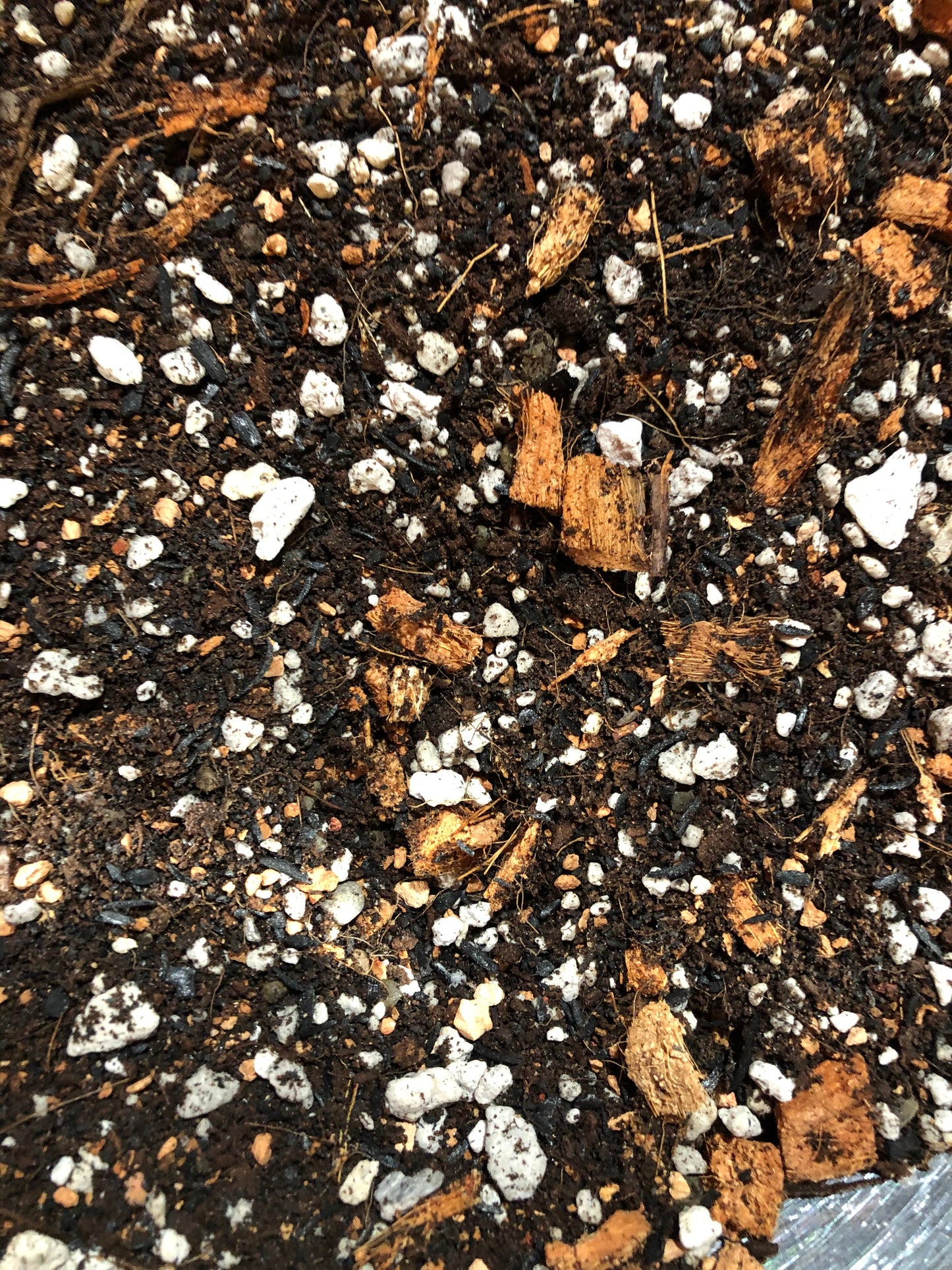 ANTHURIUM Premium Potting Mix