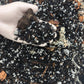 Alocasia - Colocasia - Caladium Premium Potting Mix