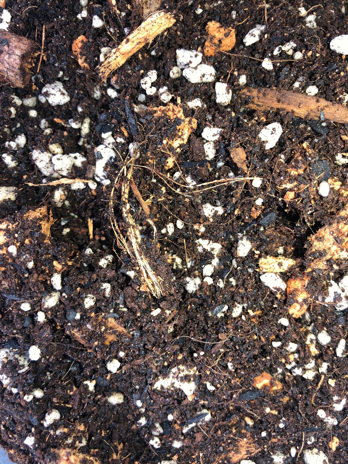 DAHLIA Premium Potting Mix