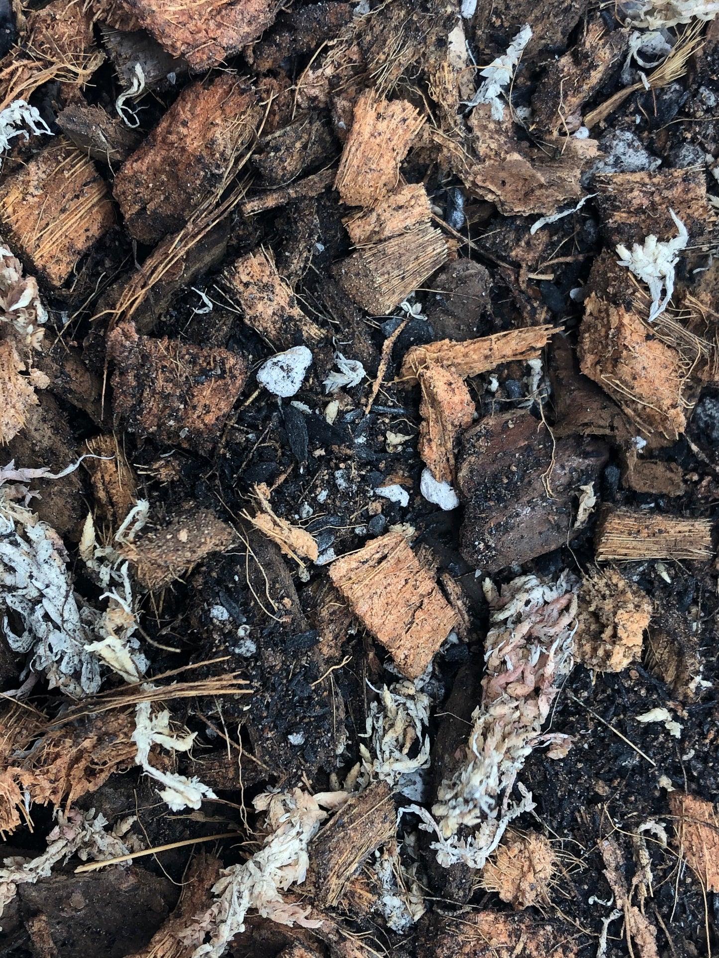 ORCHID Premium Potting Mix