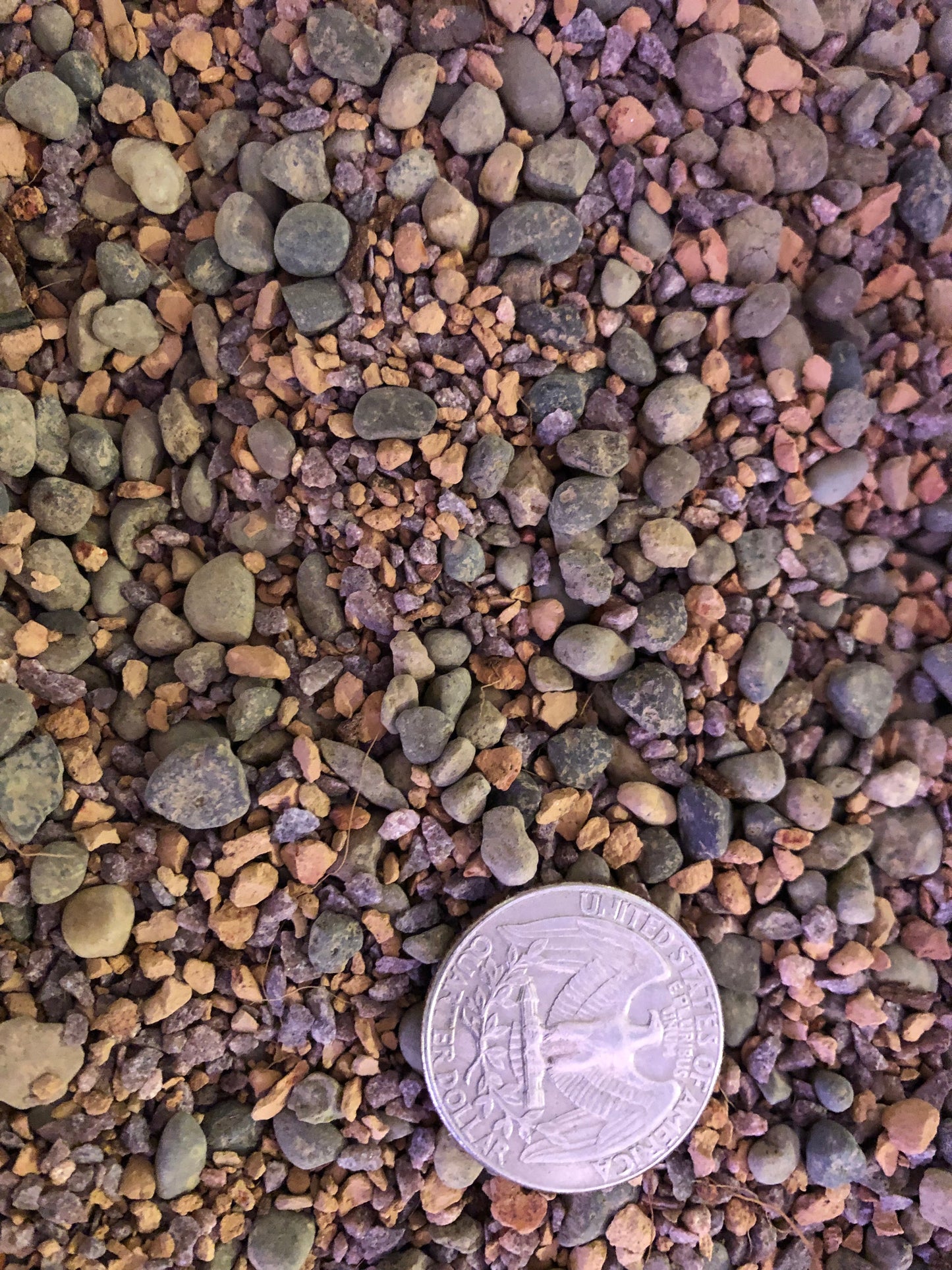 MINI GRIT Cactus & Succulent Premium Potting Mix