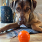 Squeak Ball - Durable Squeaky Dog Toy, Floats, Chew Toy | USA Made