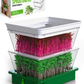 ZESTIGREENS Tiered Sprouting Kit with Drain Spout – Stackable Seed Sprouter Trays for Growing Fresh Sprouts at Home – BPA-Free, Easy Rinse & Drain System