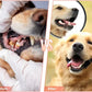 Indestructible Dog Shoe Chew Toy for Aggressive Chewers Rubber