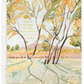 In the Shade - Seeded Sympathy Card