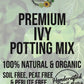 Ivy Premium Potting Mix