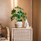 Silk Artificial Apple Banyan Leaf Tree In Pot