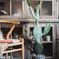 Artificial Cactus in Pot Various Styles